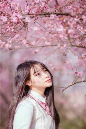 陆屿安佟漫漫