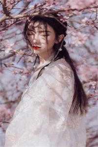 傅寒柏秦安安