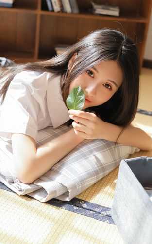 傅瑾辞颜洛
