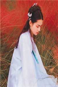 花非花雾非雾抖音