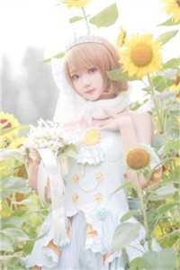 鸟归山野星辰入海结局+番外