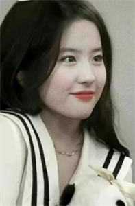 妻子给初恋生子后，我成战地记者精彩