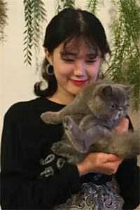 闻愿情深