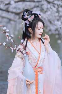 阴阳皆无情，拂袖乘华去