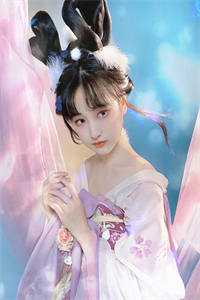 边境线的格桑花