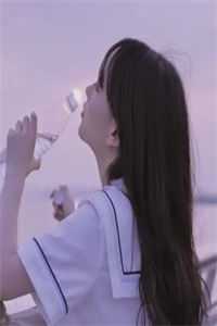 顾总，夫人牵着哮天犬消失了