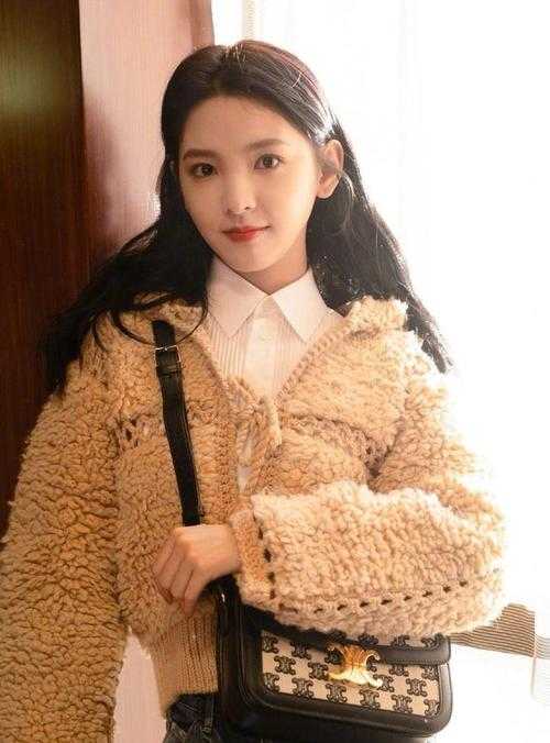 丁克老婆带回龙凤胎后，我离婚了