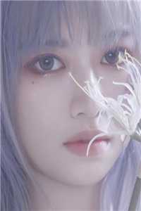昭昭如愿岁岁安