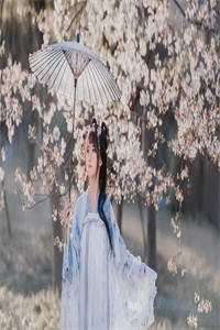 未婚夫假死换脸偷情，我回归佛门后他跪着追妻火葬场